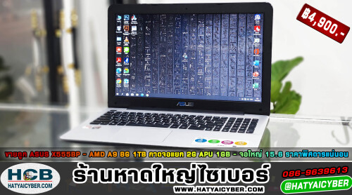 NEW-THEME2.jpeg