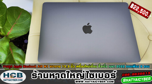 NEW-THEME2de0ce92c54f2d967.jpeg