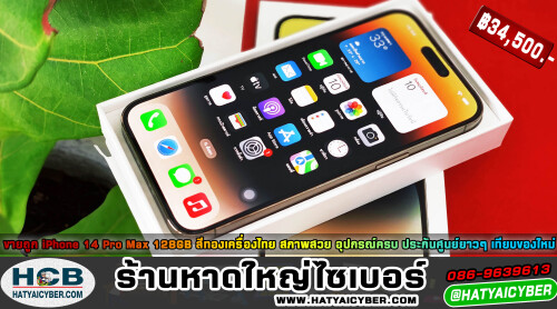NEW-THEME24f5154507c9d94d3.jpeg