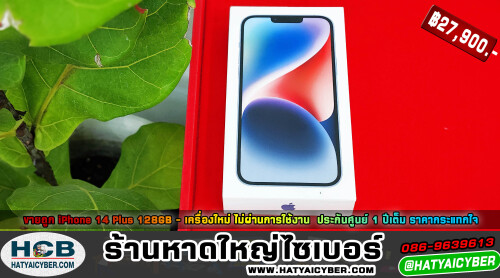 NEW-THEME2.jpeg