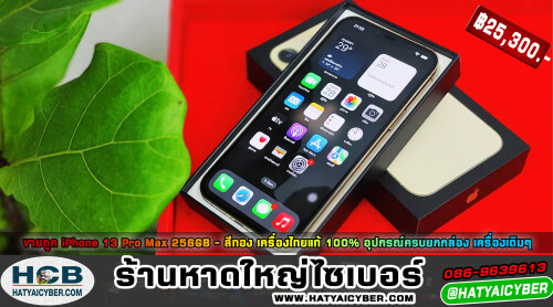 NEW-THEME265587577da28856c.jpeg
