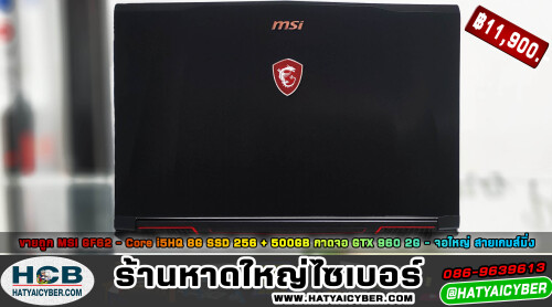 NEW-THEME2.jpeg