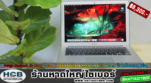 NEW-THEME2c523f2597bbe3d92.jpeg