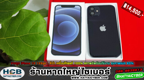 NEW-THEME2dfbff8f98a00d1be.jpeg