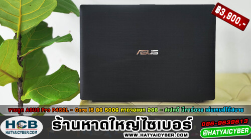NEW-THEME2.jpeg