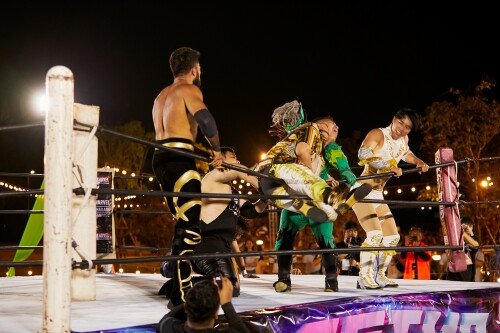 17--Setup-Thailand-Pro-Wrestling2b7e83941a7f9208.jpeg