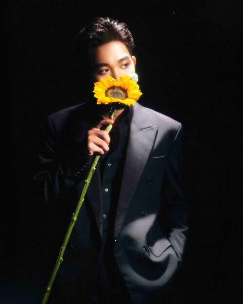 THI-O-_-FACE-REVEAL_SUNFLOWER-4x586c6ae3d14dd77ca.jpeg