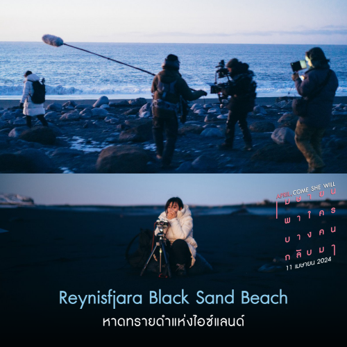April-Come-She-Will--4d31765563b72ba04.png