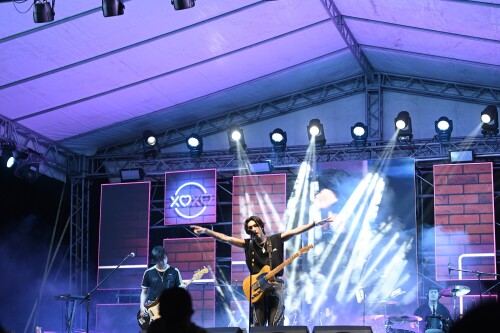 paperplanes208aa1f379d9c48f2.jpg