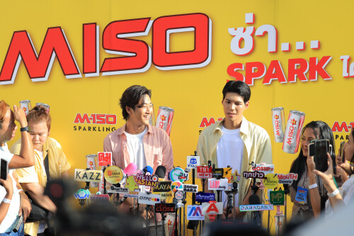 MISO-783_0a3c4f24b2893d595.jpg
