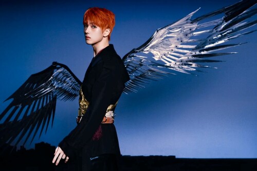 jisung75712c2e752c5046.jpg
