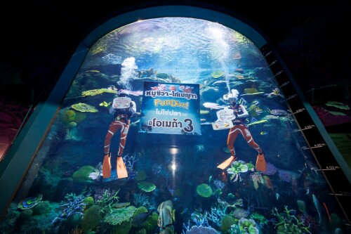 FUNDIVE-03d6b21a9d888e1ee9.jpg