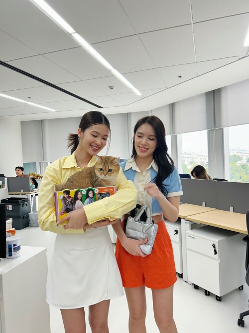 Lifemate--67e12e1f104183bd8.jpg