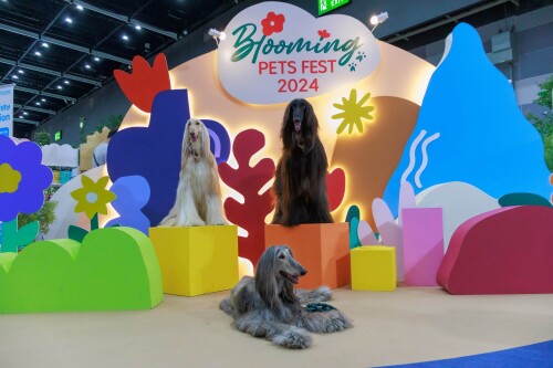 05--Pets-Blooming-Pets-Fest-2024_038e910a4fd321c17.jpg