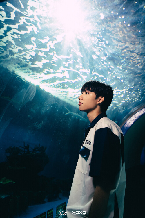 DOM_Aquarium-03_0bd3930c42e487515.jpg