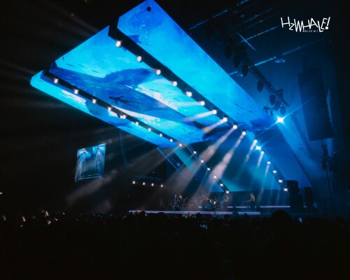 12HzWHALE-WHAL--DOLPH3a8d4dbc64abe75e.jpg
