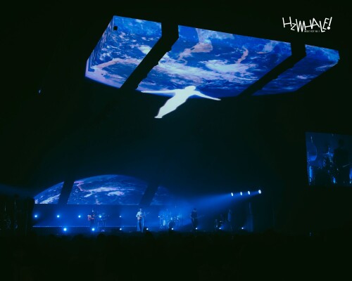 35HzWHALE-SAFEPLANETb95e65f4c761b719.jpg